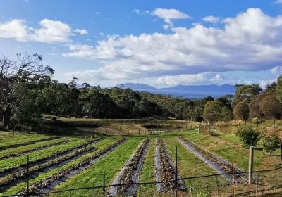 Kate's Berry Farm