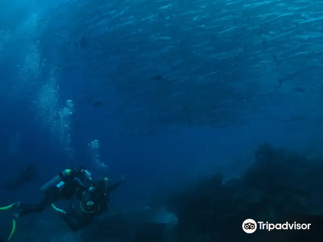 Diving in Malaysia