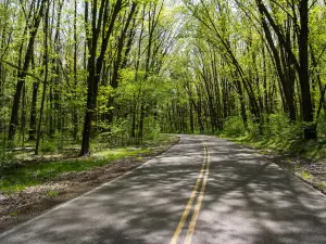 Findley State Park