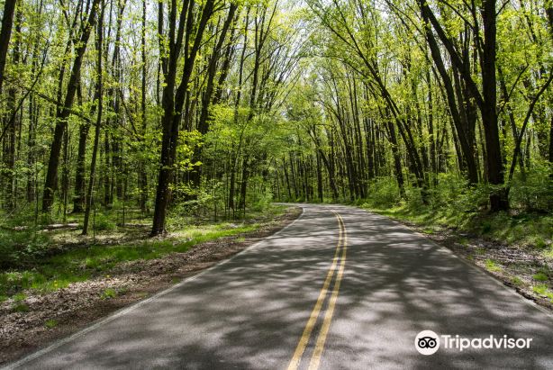Findley State Park