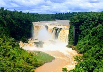 Alto Parana