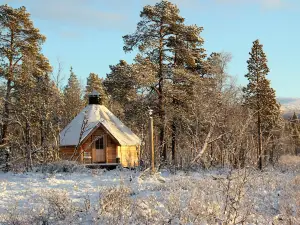 Husky Home