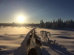 White Trail Adventures