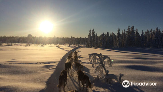 White Trail Adventures