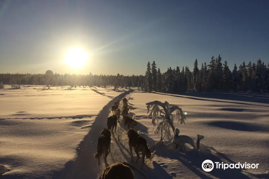 White Trail Adventures