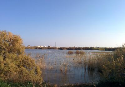 Oroklini Lake