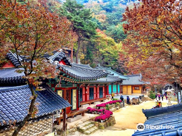 Compare 5 airports near Dongducheon