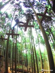 Forest Adventure Tamba Sasayama