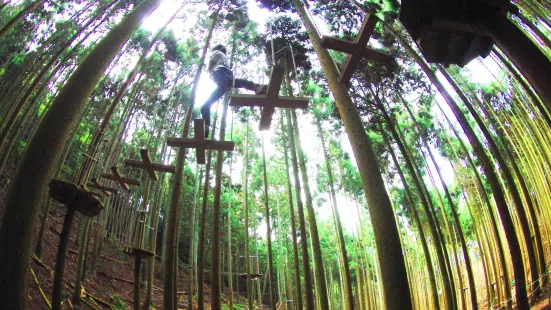 Forest Adventure Tamba Sasayama