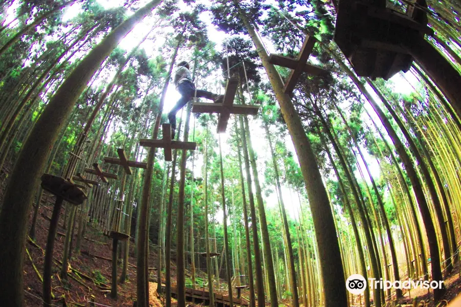 Forest Adventure Tamba Sasayama