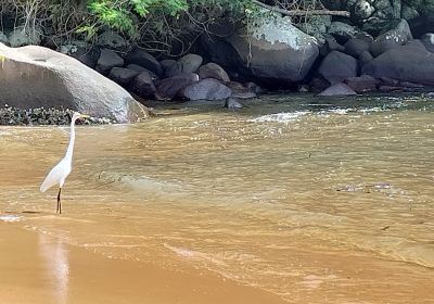 Praia de Aracatiba