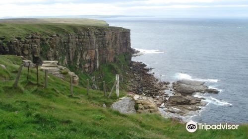 Dunnet Head