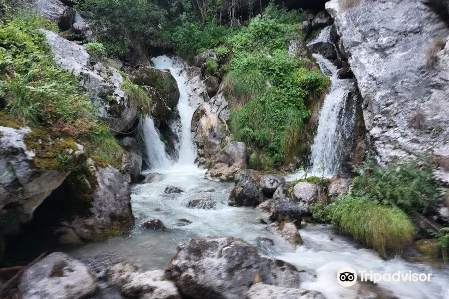 Area Natura Rio Bianco