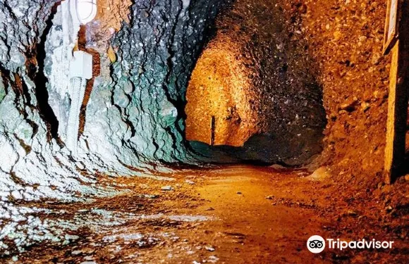 澤尼察-多博伊州