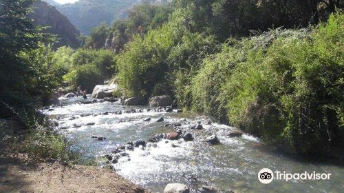 Santuario de La Naturaleza El Arrayán