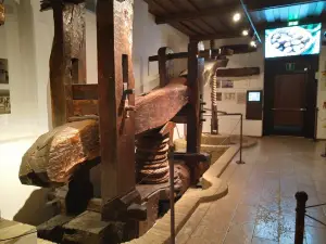 Museo dell'Olio d'Oliva