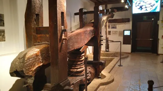 Museo dell'Olio d'Oliva