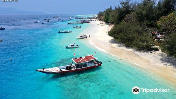 DSM Dive - Lombok