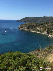 Spiaggia di Norsi