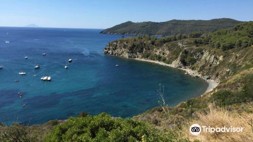 Spiaggia di Norsi