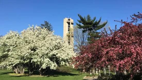 ワシントン公園