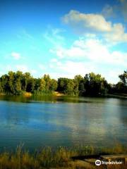 Lac de Saint Caprais