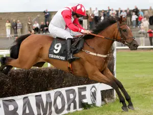 Waterford & Tramore Racecourse