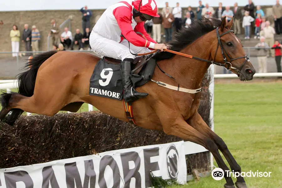 Waterford & Tramore Racecourse