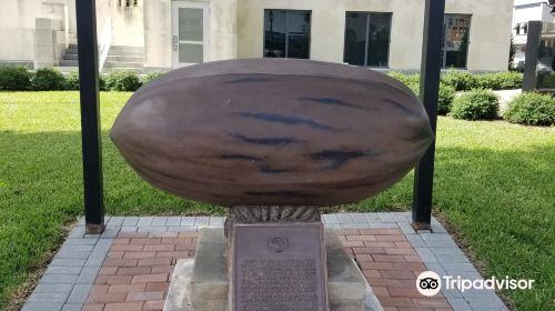 World’s Largest Pecan