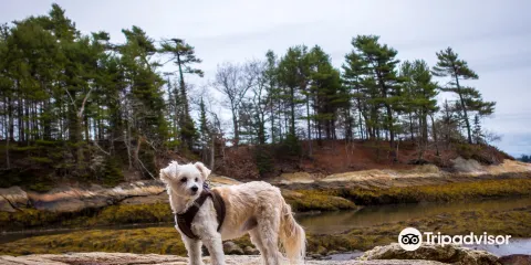 Wolfe's Neck Woods State Park