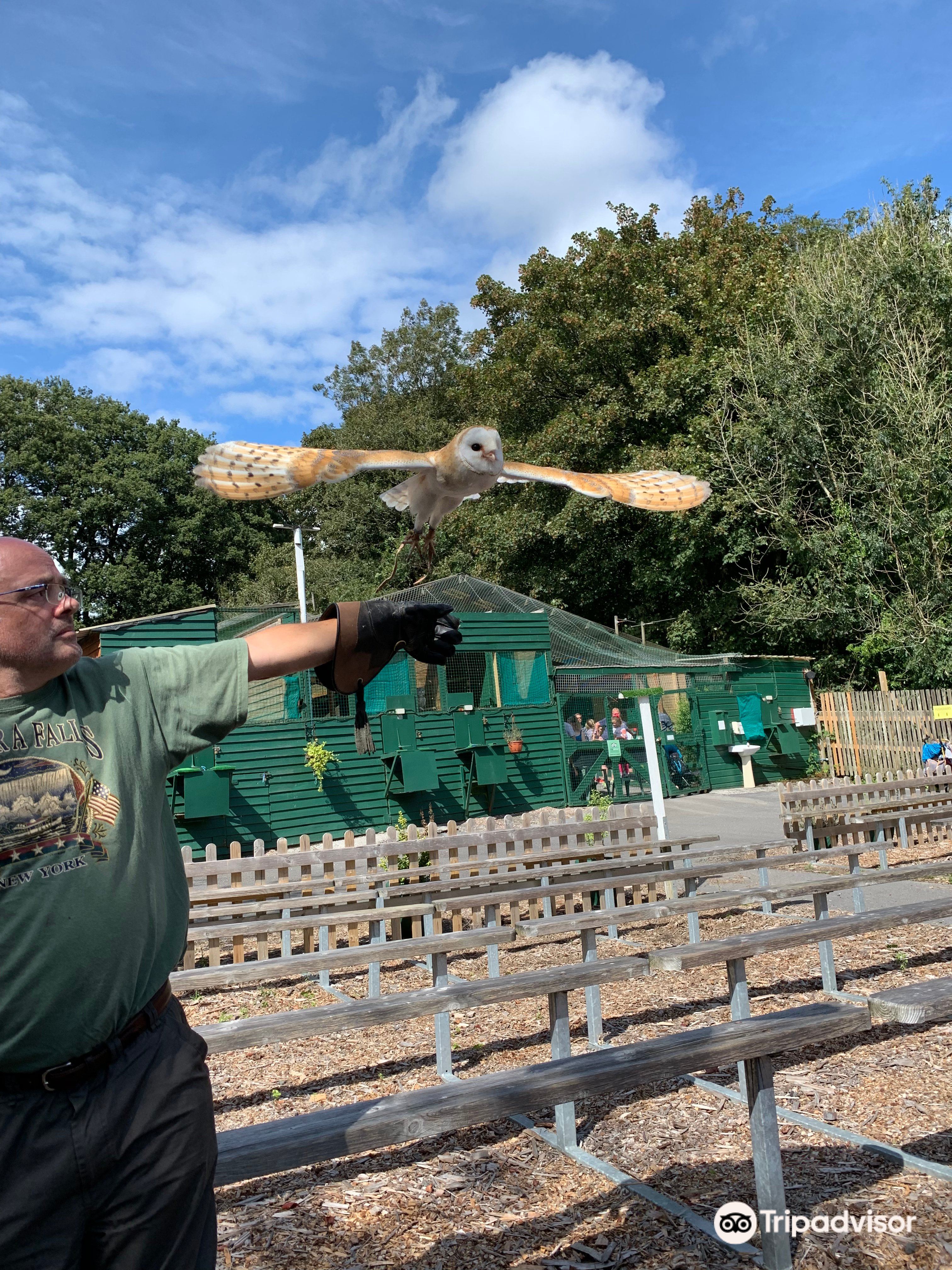 National Bird of Prey Centre - Wicklow County Tourism