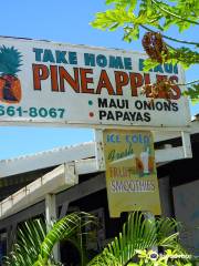 Local Tastes of Maui