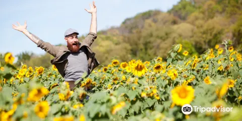 Gorman Heritage Farm