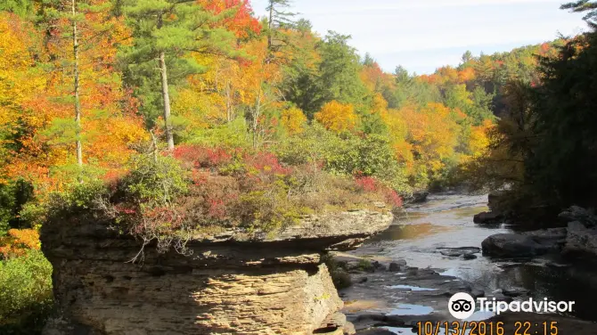 4_Swallow Falls State Park