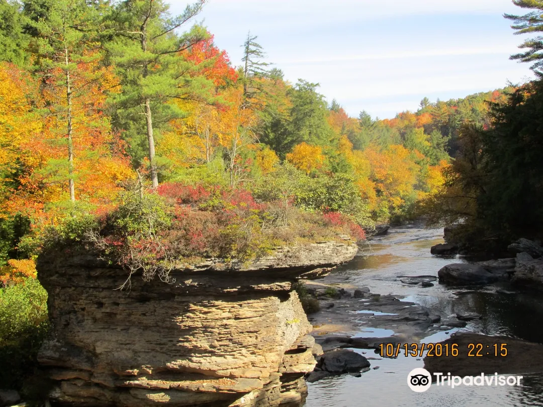 4_Swallow Falls State Park