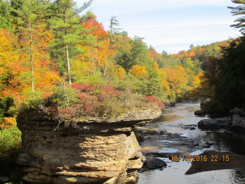 3_Swallow Falls State Park