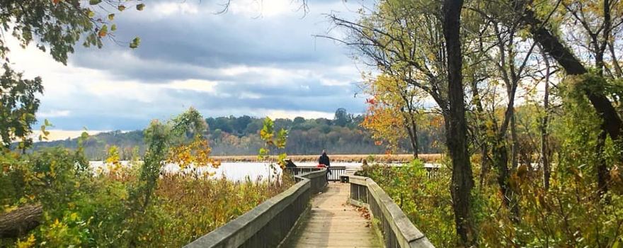 Dyke Marsh Wildlife Preserve