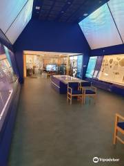 The Etches Collection Museum of Jurassic Marine Life