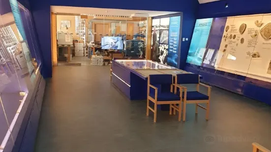 The Etches Collection Museum of Jurassic Marine Life