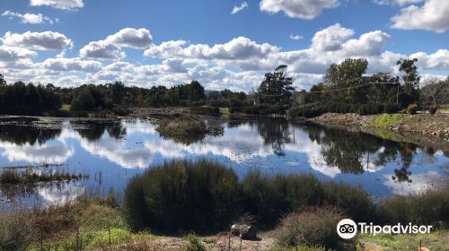 Goulburn Wetlands