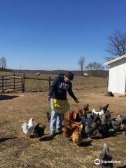 The Farm at Prophetstown