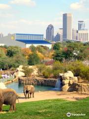 zoo di Indianapolis