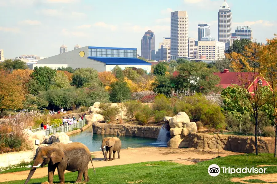 zoo di Indianapolis