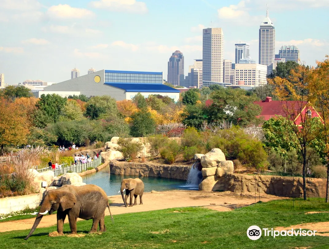 2_Indianapolis Zoo