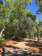 Ed Austin Regional Park