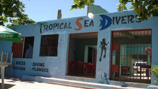 Tropical Sea divers