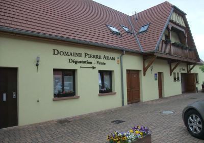 Domaine Pierre Adam | Vins d'Alsace