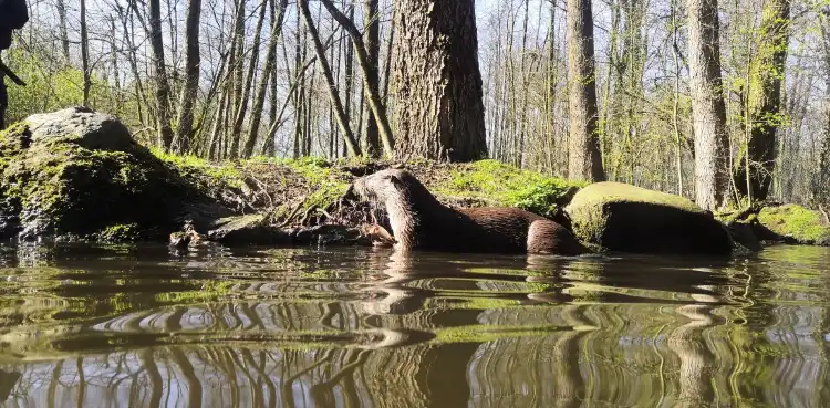 Hôtels à : Obernholz