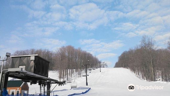 Mount Pleasant of Edinboro