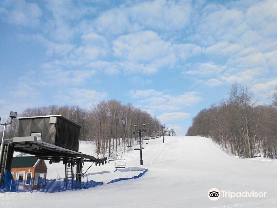 Mount Pleasant of Edinboro